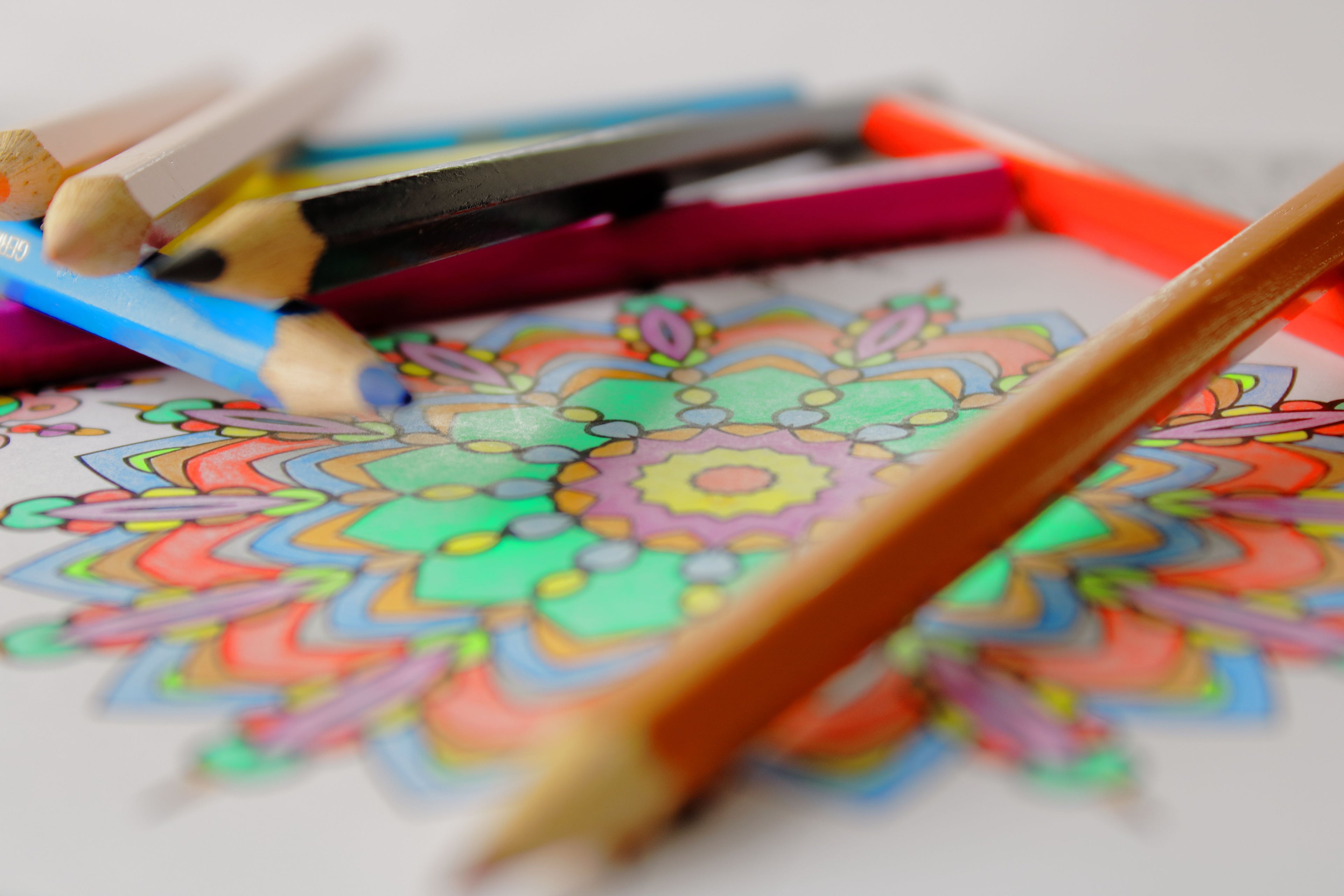 Animal Coloring Book for Kids